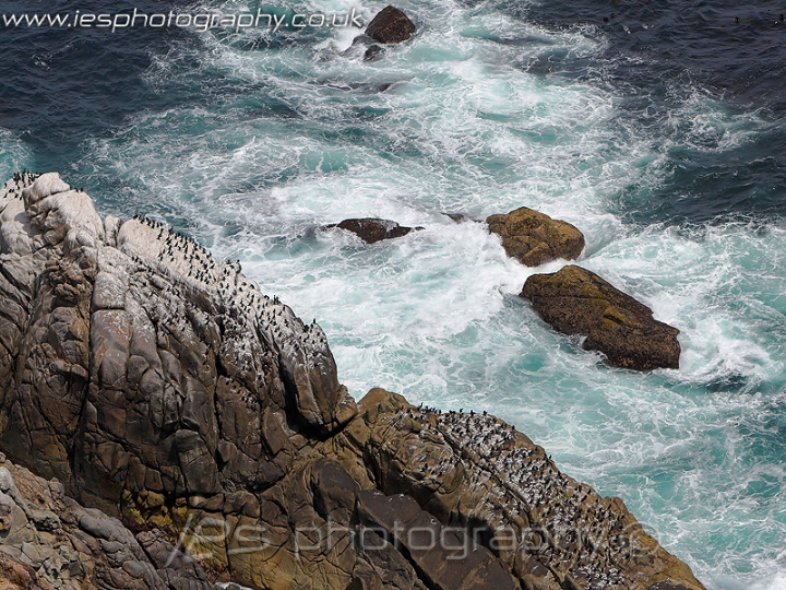 cape_point_sea_wm.jpg - Cape Coast