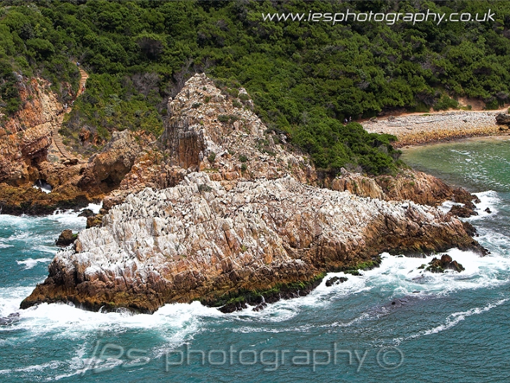 knysna_heads_wm.jpg - Knysna Head