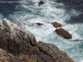 cape_point_sea_wm