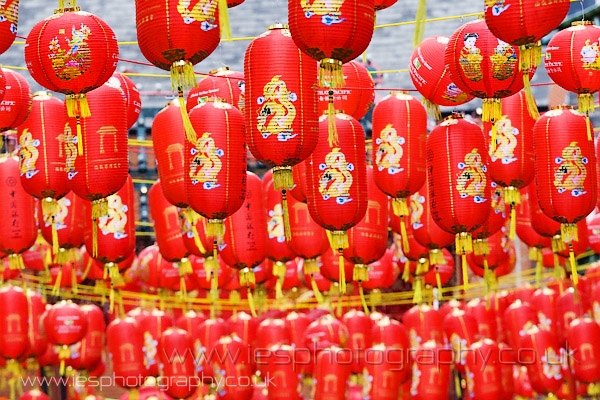 cny_london_ddj.jpg - Chinese New Year of the Ox - London